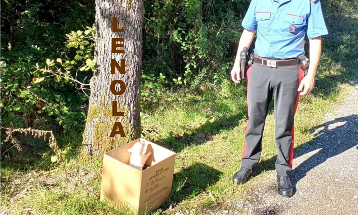 Lenola - Abbandonano tre cuccioli in un cartone