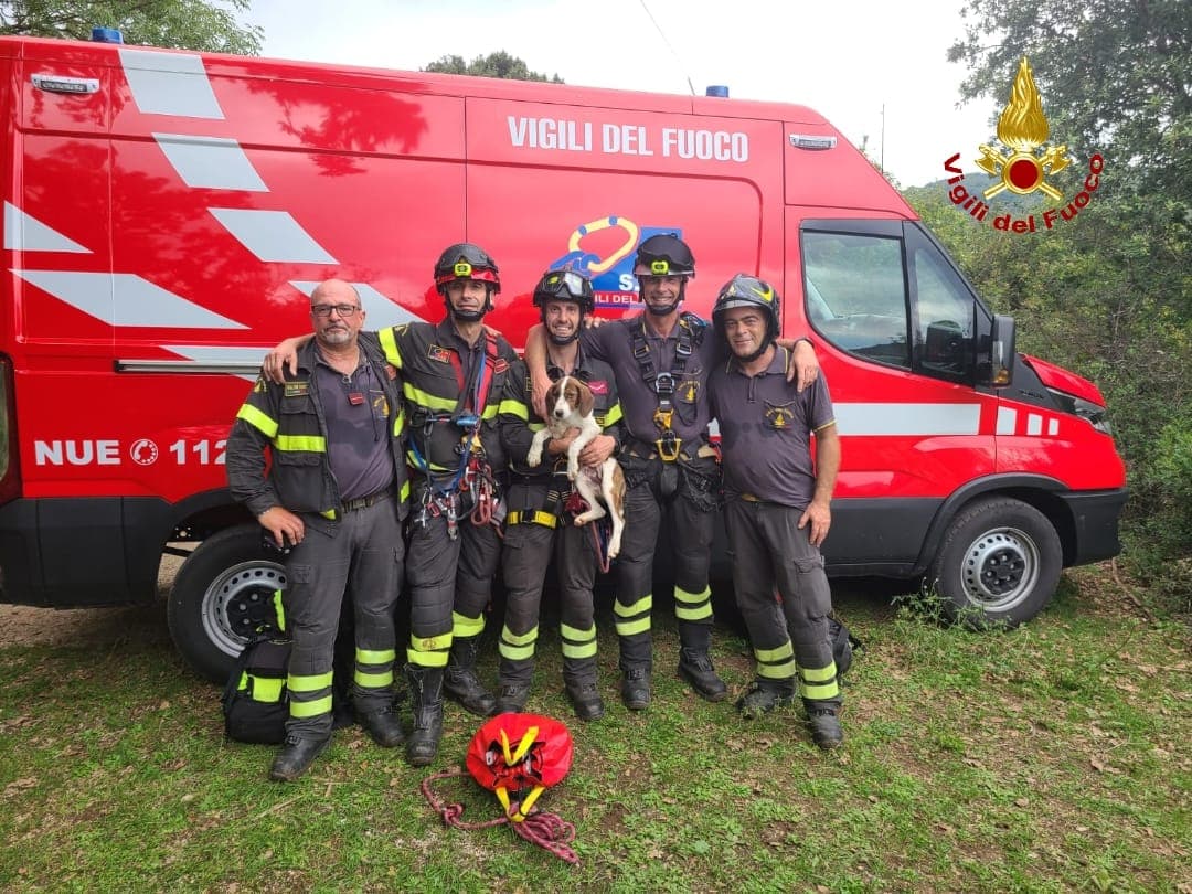 Salvato un cucciolo di 3 mesi caduto in un dirupo di oltre 30 metri