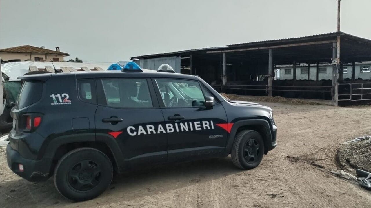 Sorpresi cinque lavoratori irregolari in un'azienda della Provincia di Latina