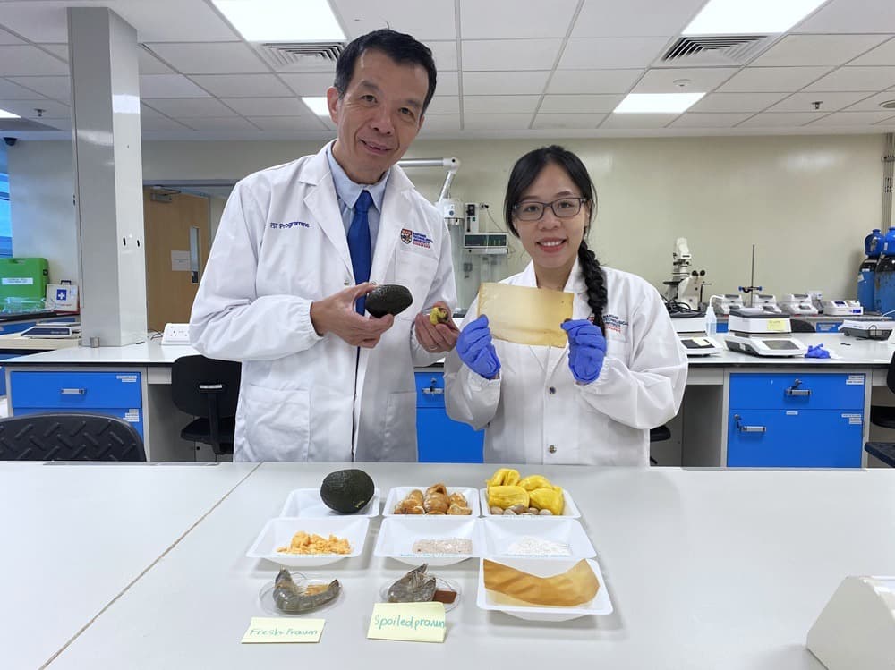 Inventata una Pellicola alimentare antibatterica sostenibile che cambia colore quando il cibo va a male