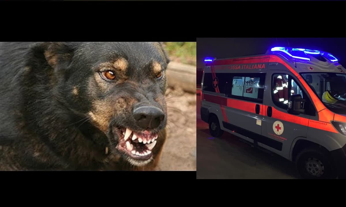 Morta azzannata dai cani. La vittima è una 27enne