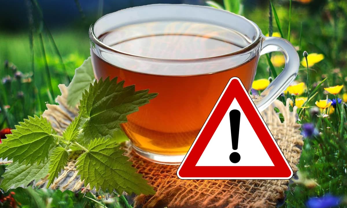 Tisana con Migrazione MOAH - Nuovo Richiamo Alimentare dal Ministero della Salute. Il lotto