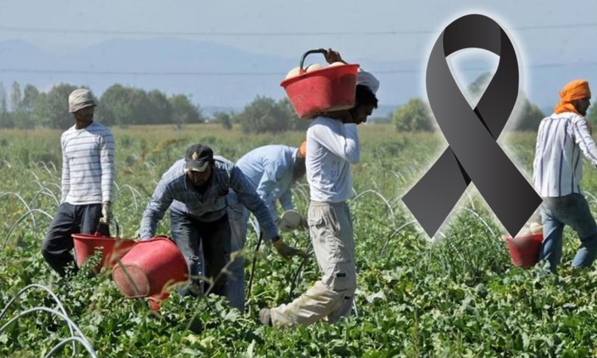 Decesso di un bracciante agricolo di nazionalità indiana sul luogo di lavoro in Provincia di Latina