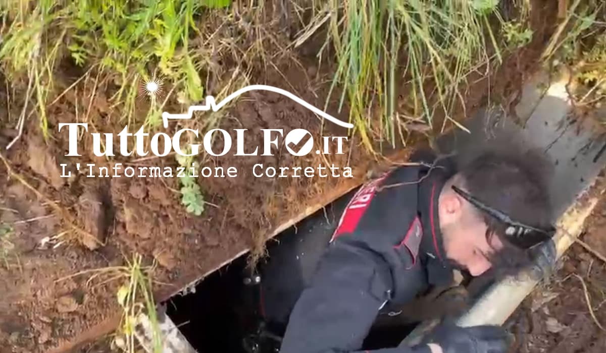 Otto persone arrestate per associazione a delinquere di tipo mafioso. Blitz in Provincia di Latina