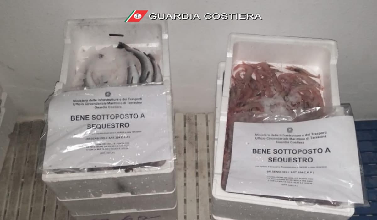 Sequestrati dalla Guardia Costiera 25kg di pesce. Veniva venduto abusivamente