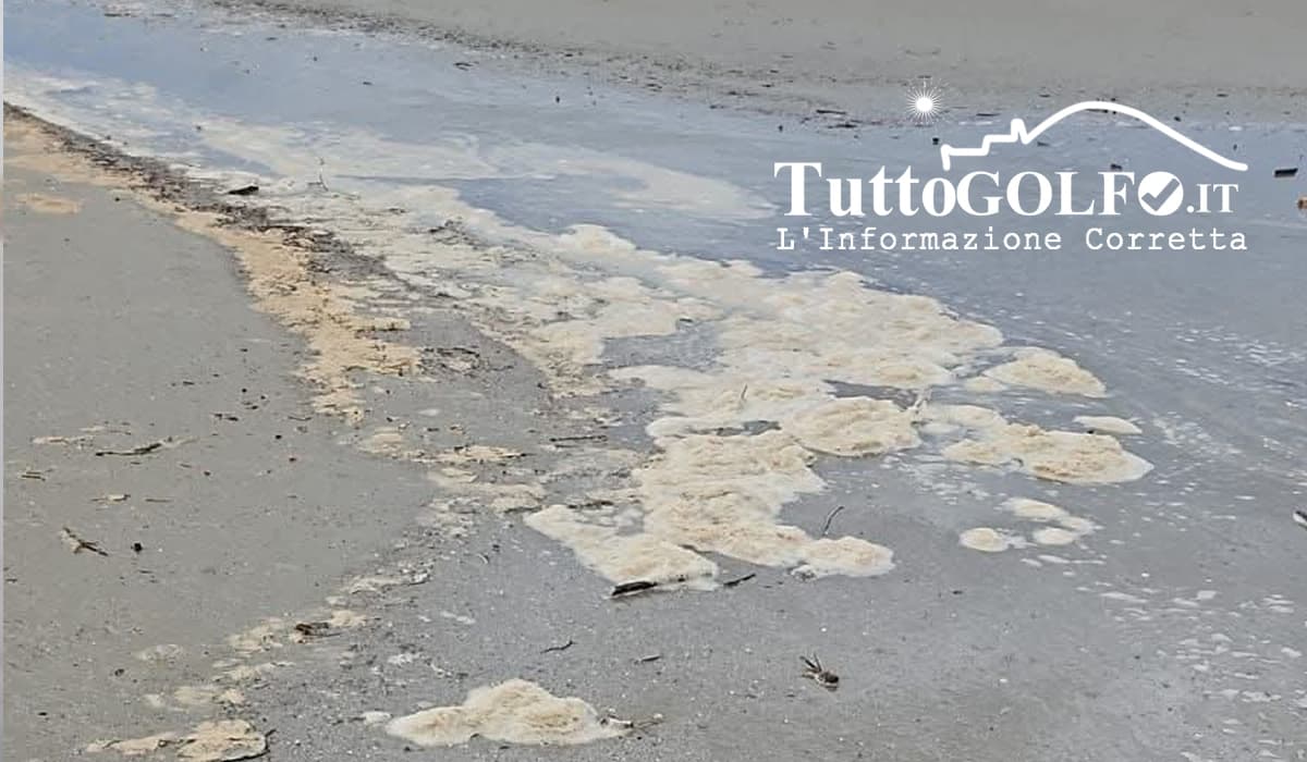 Giovanni Castorina: Tutto quello che viene gettato in mare e non galleggia che fine fa?