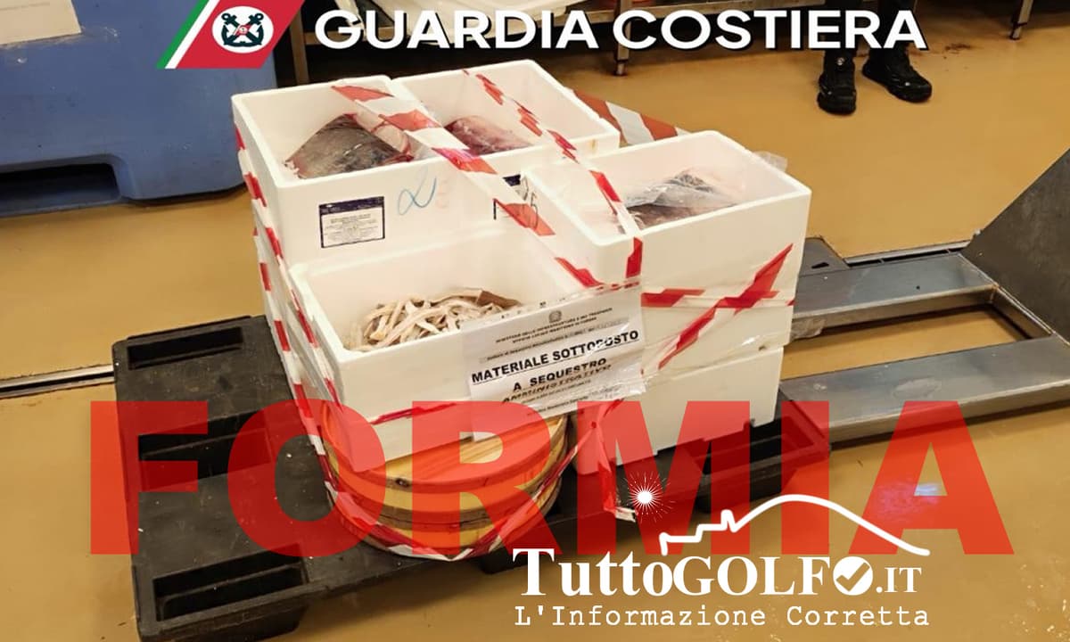 Formia, Controlli in una pescheria - Sequestrati 145 chilogrammi di prodotto ittico. Pesante la sanzione