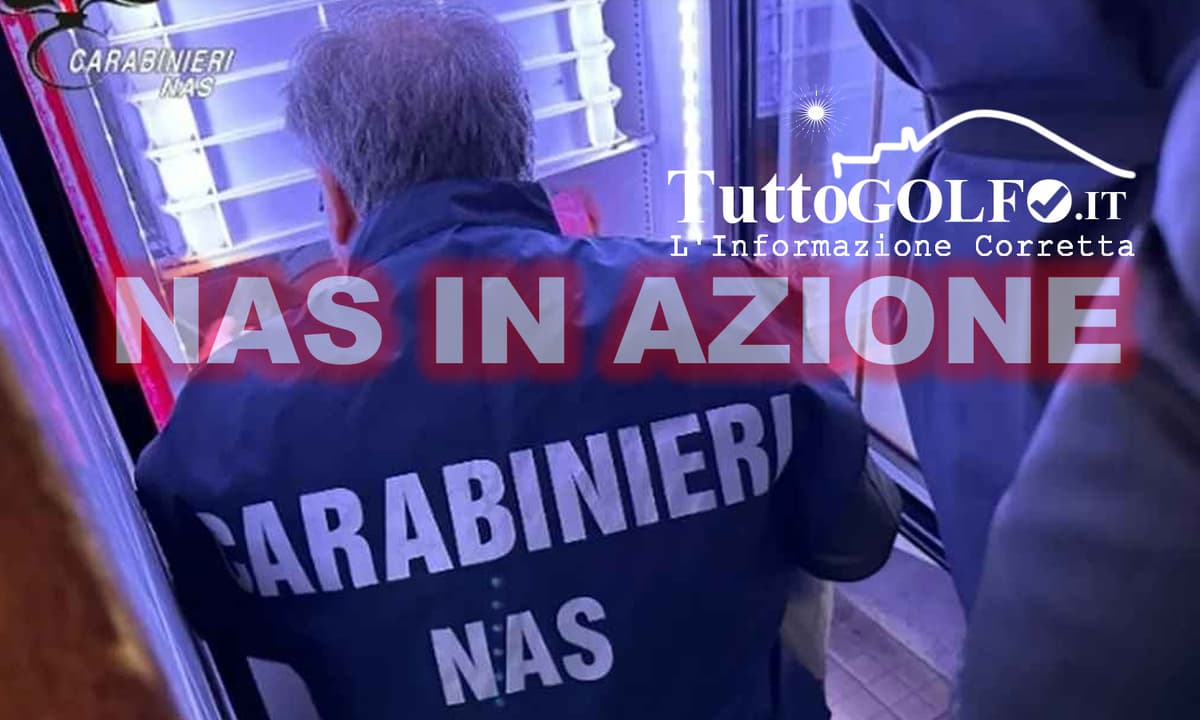 Nas in azione - Chiuse due attività. Nel mirino lidi, ristoranti, pizzerie e pasticcerie
