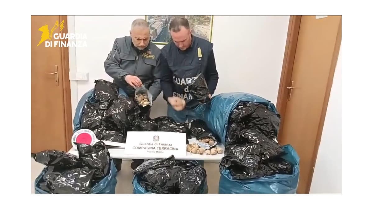 GdiF LATINA: SEQUESTRATI OLTRE 20 KG DI BULBI DI PAPAVERO DA OPPIO. TRATTO IN ARRESTO