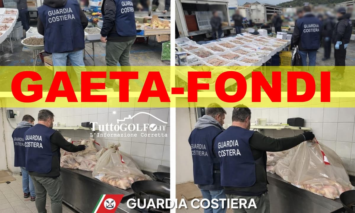 Guardia Costiera di Gaeta, controlli serrati su mercato e ristorazione: sequestrati oltre 200 kg di prodotti alimentari