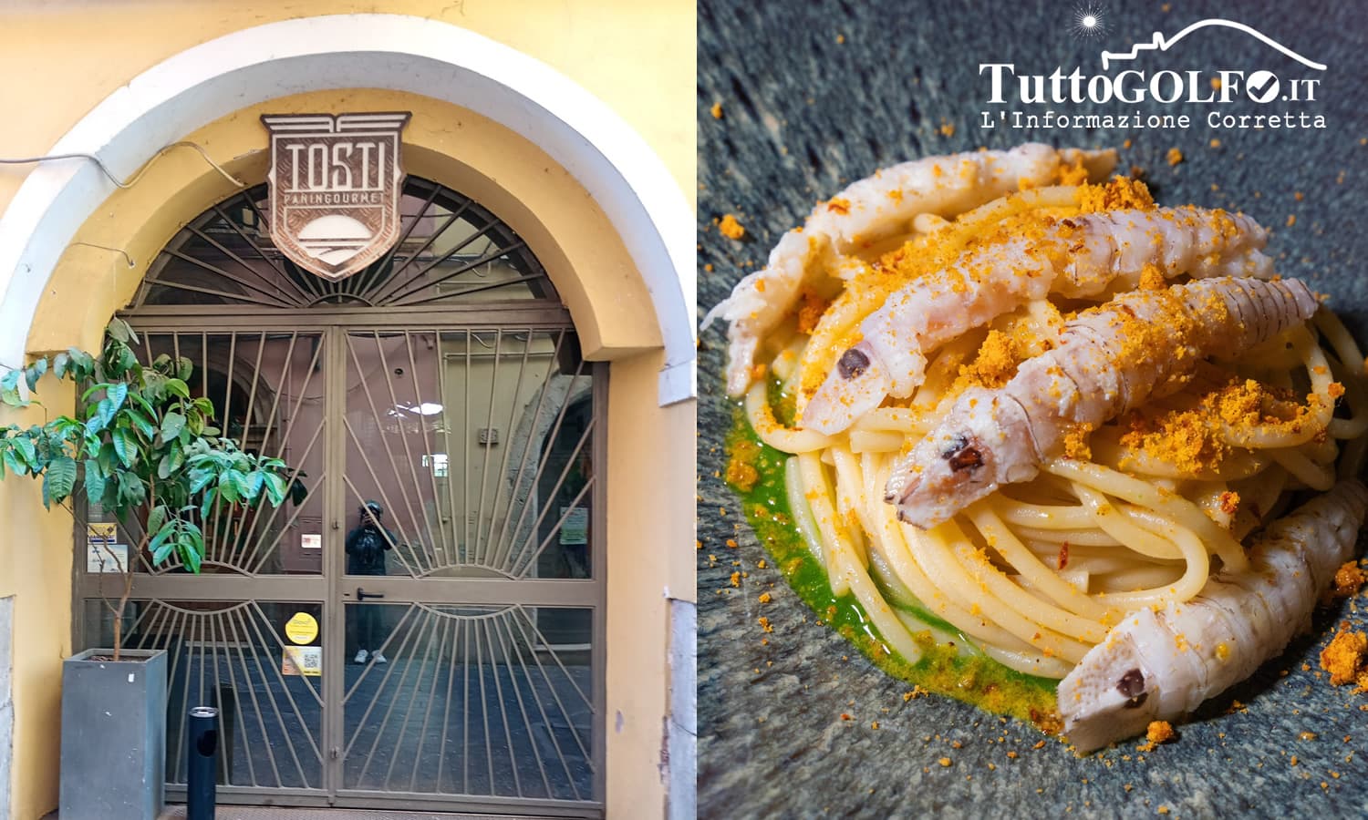 Tosti Panin Gourmet, quando il panino diventa arte culinaria