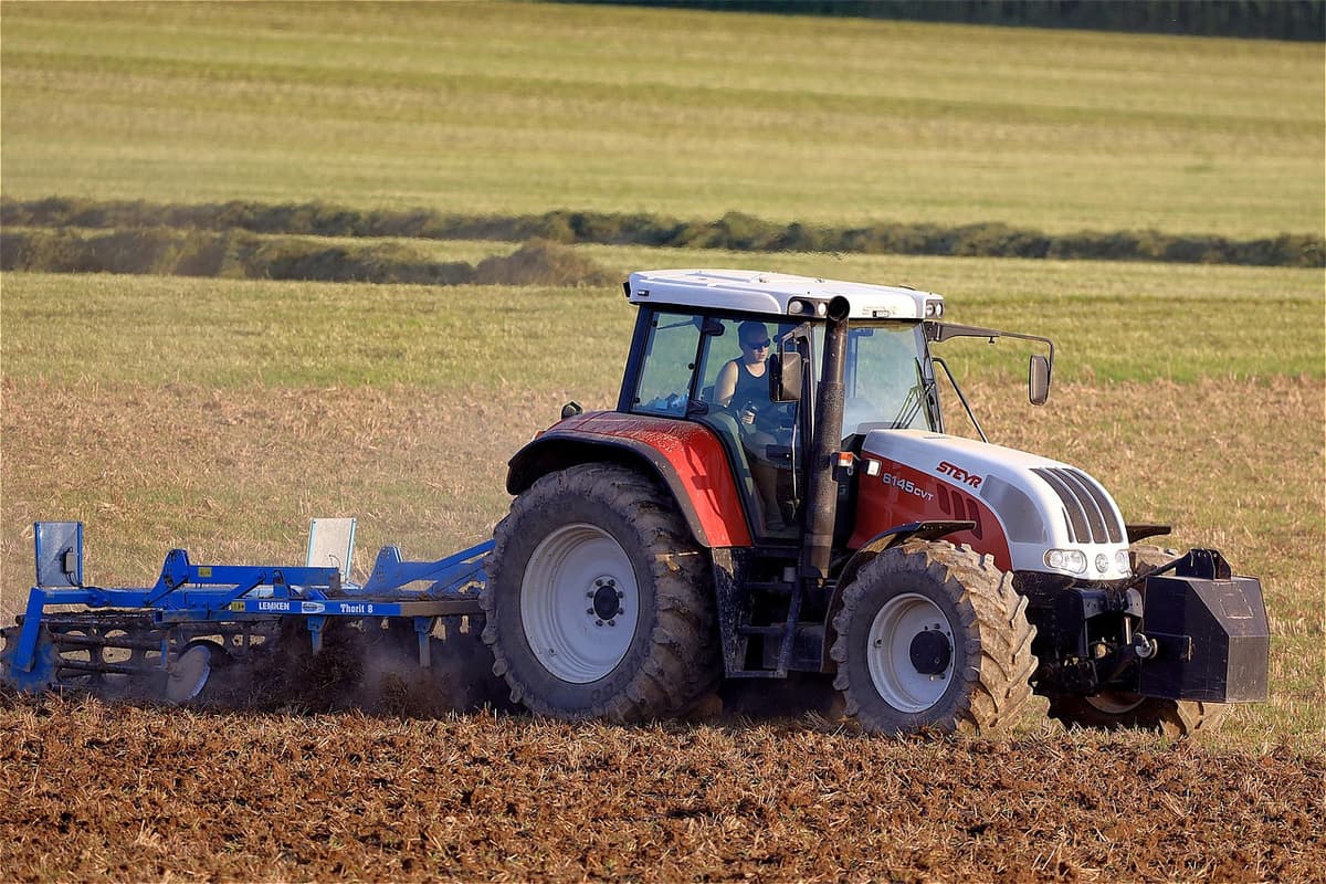 Tirocini per l’inclusione in agricoltura: posti disponibili anche a Fondi
