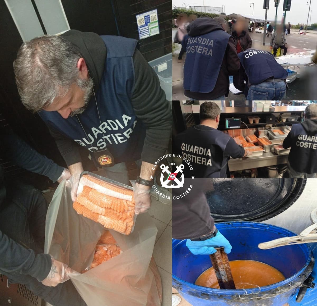 Sicurezza della filiera ittica: la Guardia Costiera sanziona attività a Cassino e Minturno. Sequestrati 620 kg di prodotto