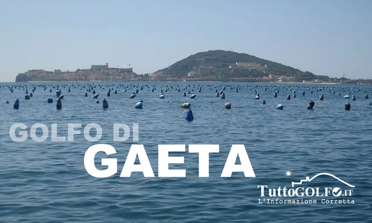 Piscicoltura nel Golfo di Gaeta, Magliozzi: “Verificare subito superfici e concessioni. 140mila mq occupati contro 91mila autorizzati”