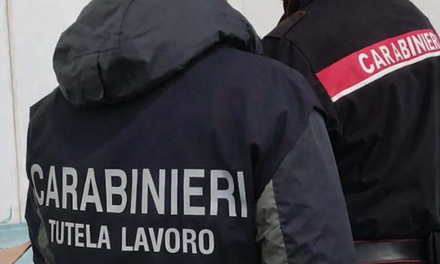 Ispezione in un’azienda agricola. I Carabinieri denunciano il titolare