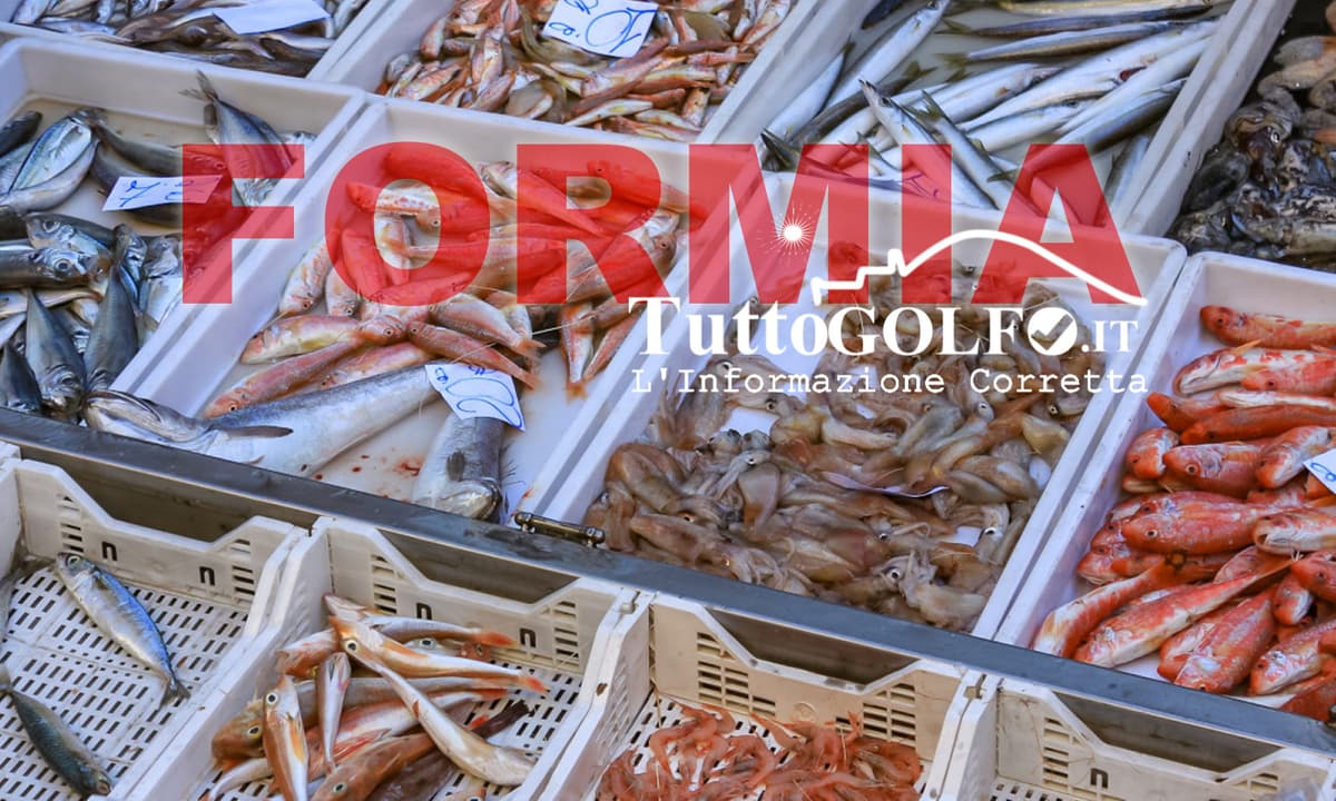 Formia - Sequestrati circa 200 kg di prodotti ittici non tracciabili