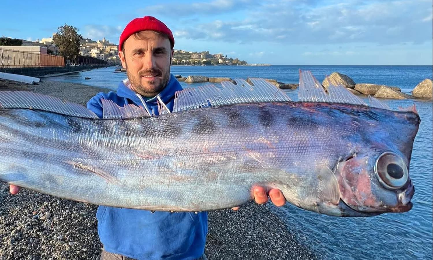 Dagli abissi alla riva, l’unicorno del mare affiora in Italia