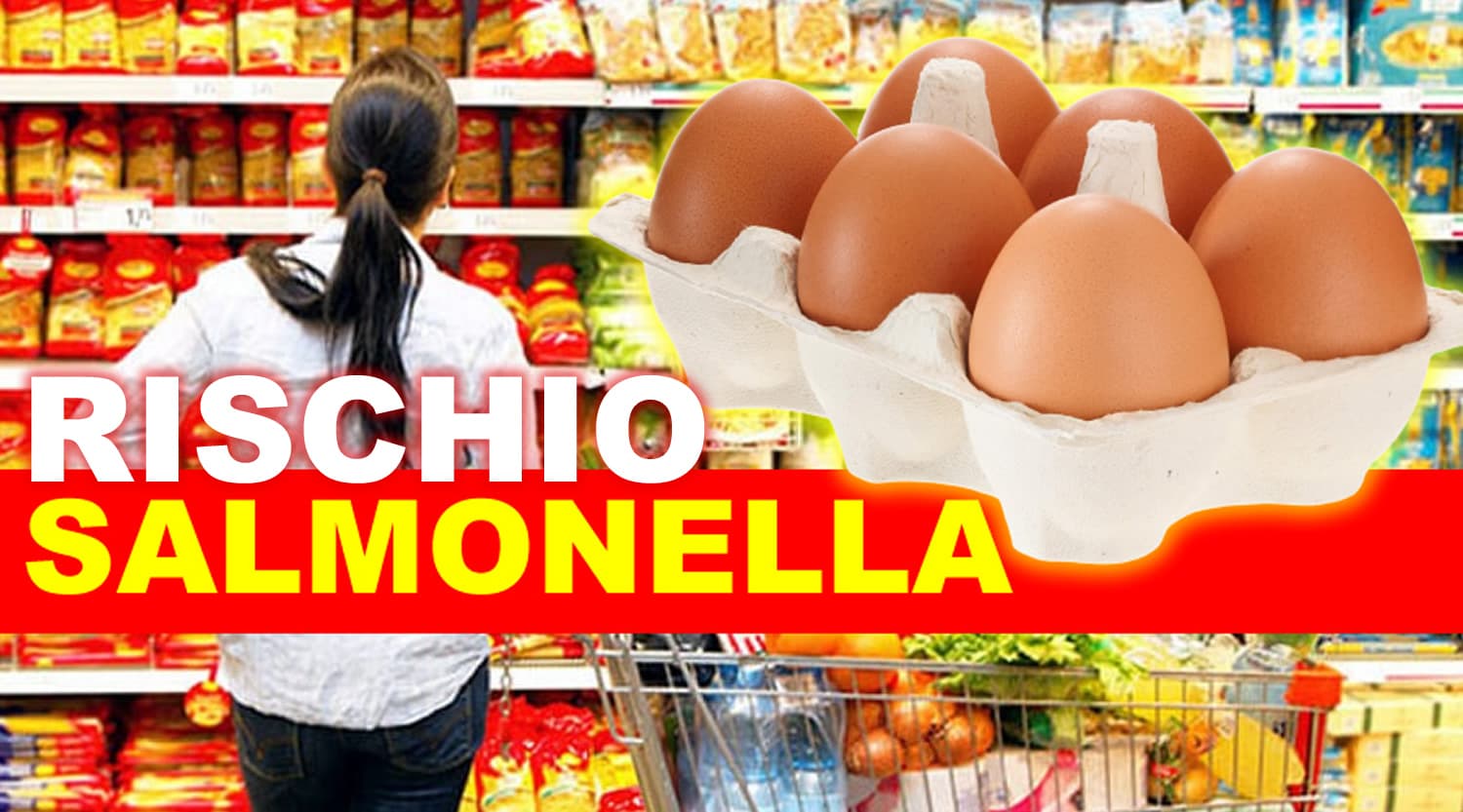Richiamo alimentare per due lotti di uova AIA: rischio Salmonella, consumatori invitati a non consumarle