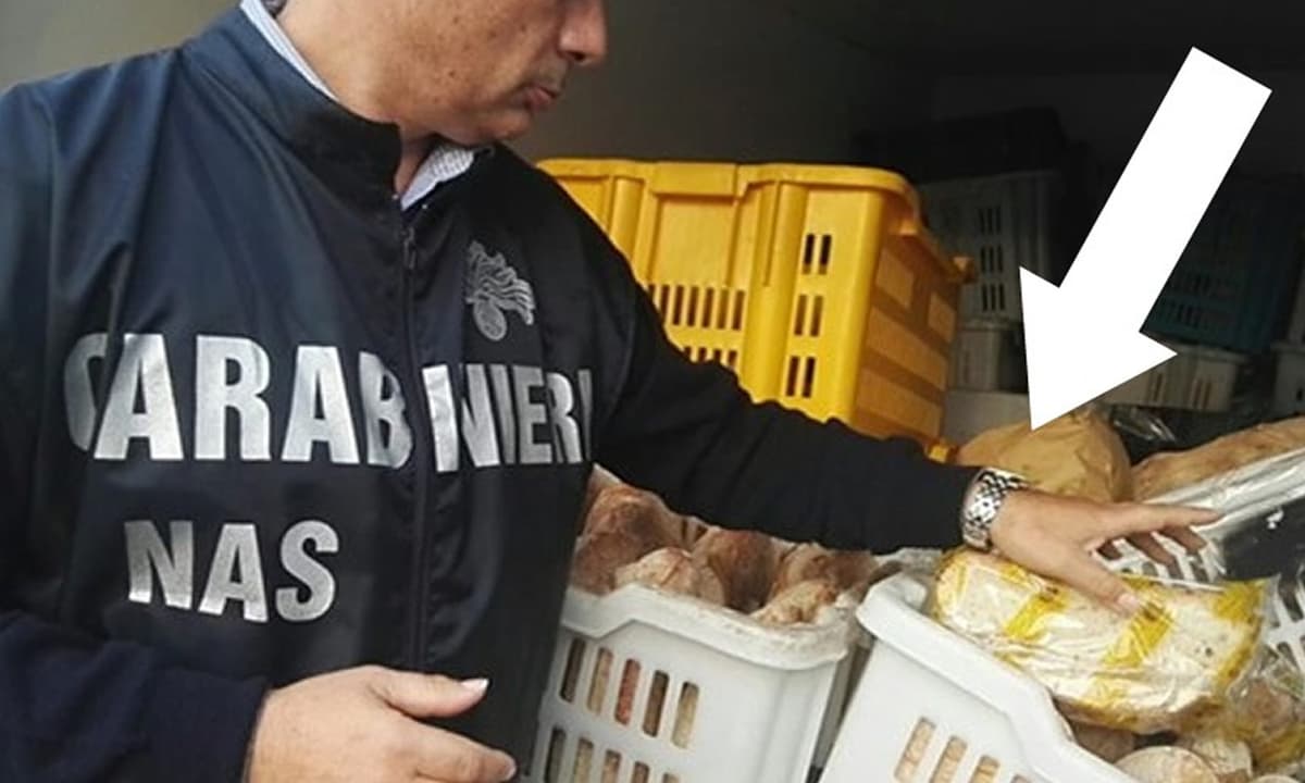 Nas in azione nel Sud Pontino: Panificio sotto controllo. 45 kg di impasto di pane sotto accusa e attività sospesa