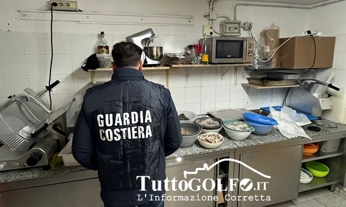 Guardia Costiera: Mense scolastiche nel mirino, sequestrati 20 kg di prodotto ittico. A Scauri sequestrate reti da pesca