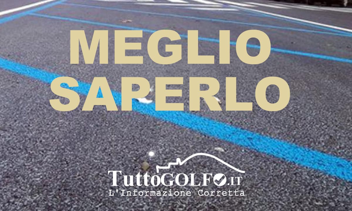 Strisce blu nel mirino: ecco quando la sanzione non vale nulla. Quando la multa ingiusta, tutti i casi per difendersi
