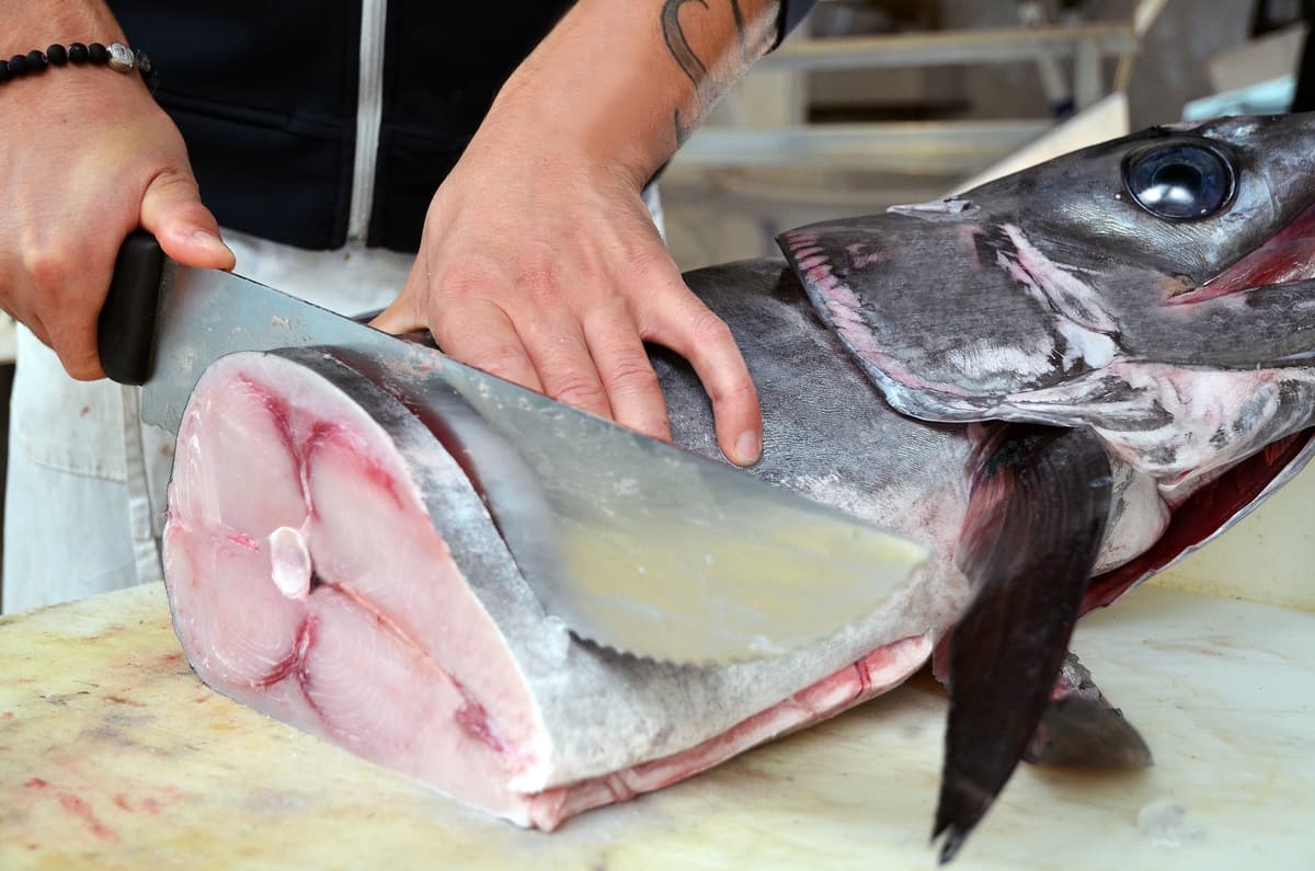 Richiamo alimentare: lotto di pesce spada ritirato per eccesso di mercurio