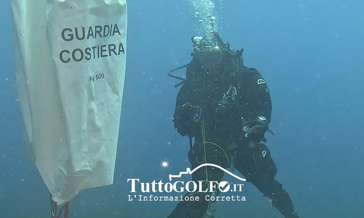 GUARDIA COSTIERA: AL VIA L’OPERAZIONE REGIONALE “NEREIDE”