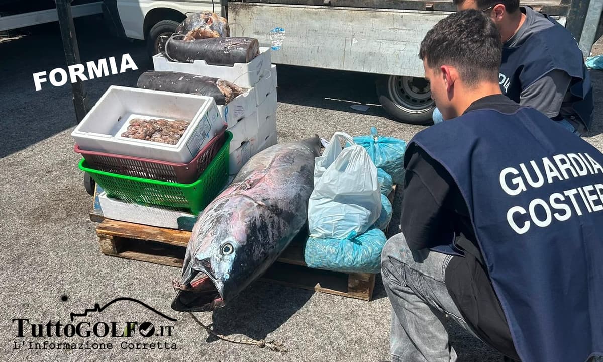 Maxi controlli al mercato di Formia: sequestrati 255 kg di pesce, multe per oltre 13mila euro