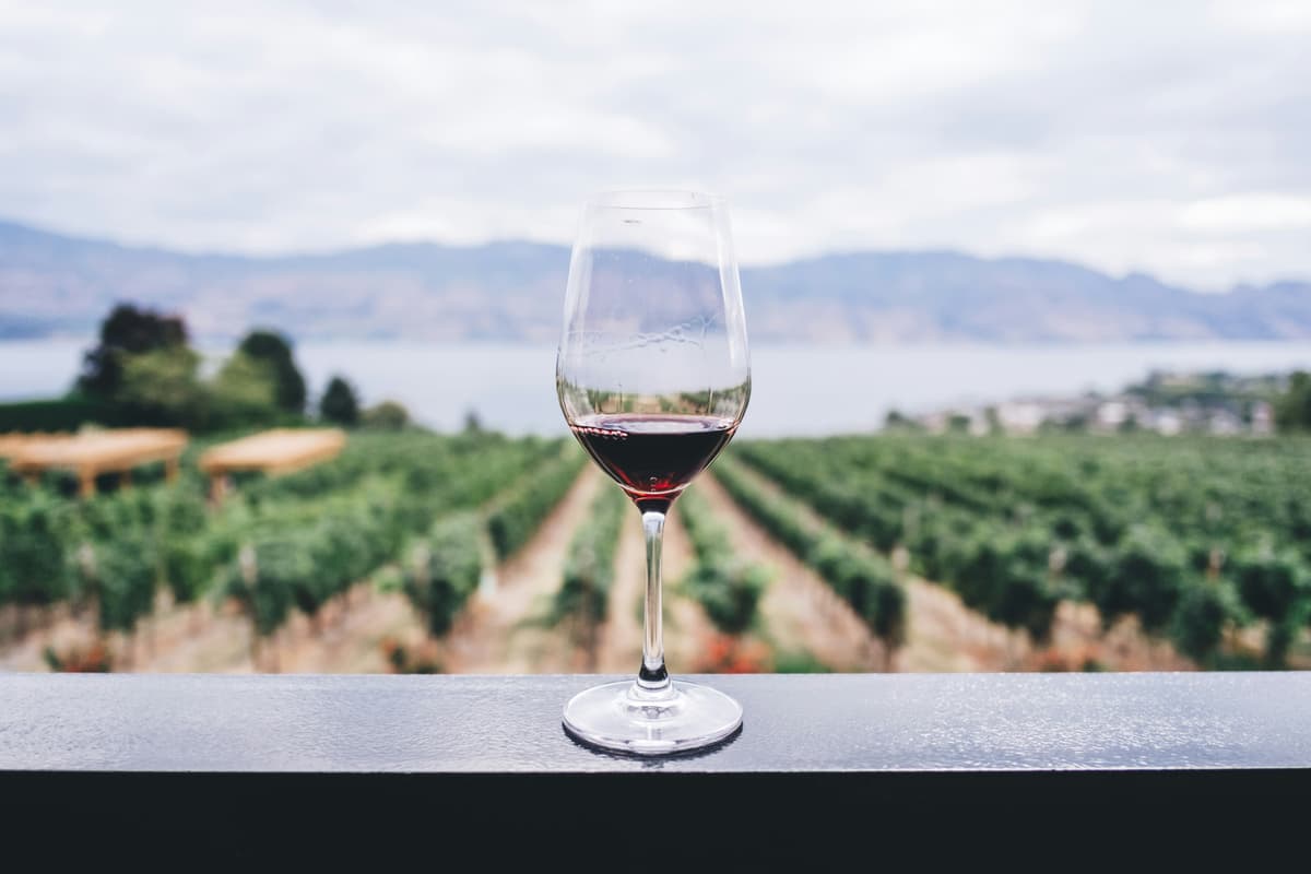 Imparare a degustare: i passaggi fondamentali per apprezzare un calice di vino senza essere sommelier