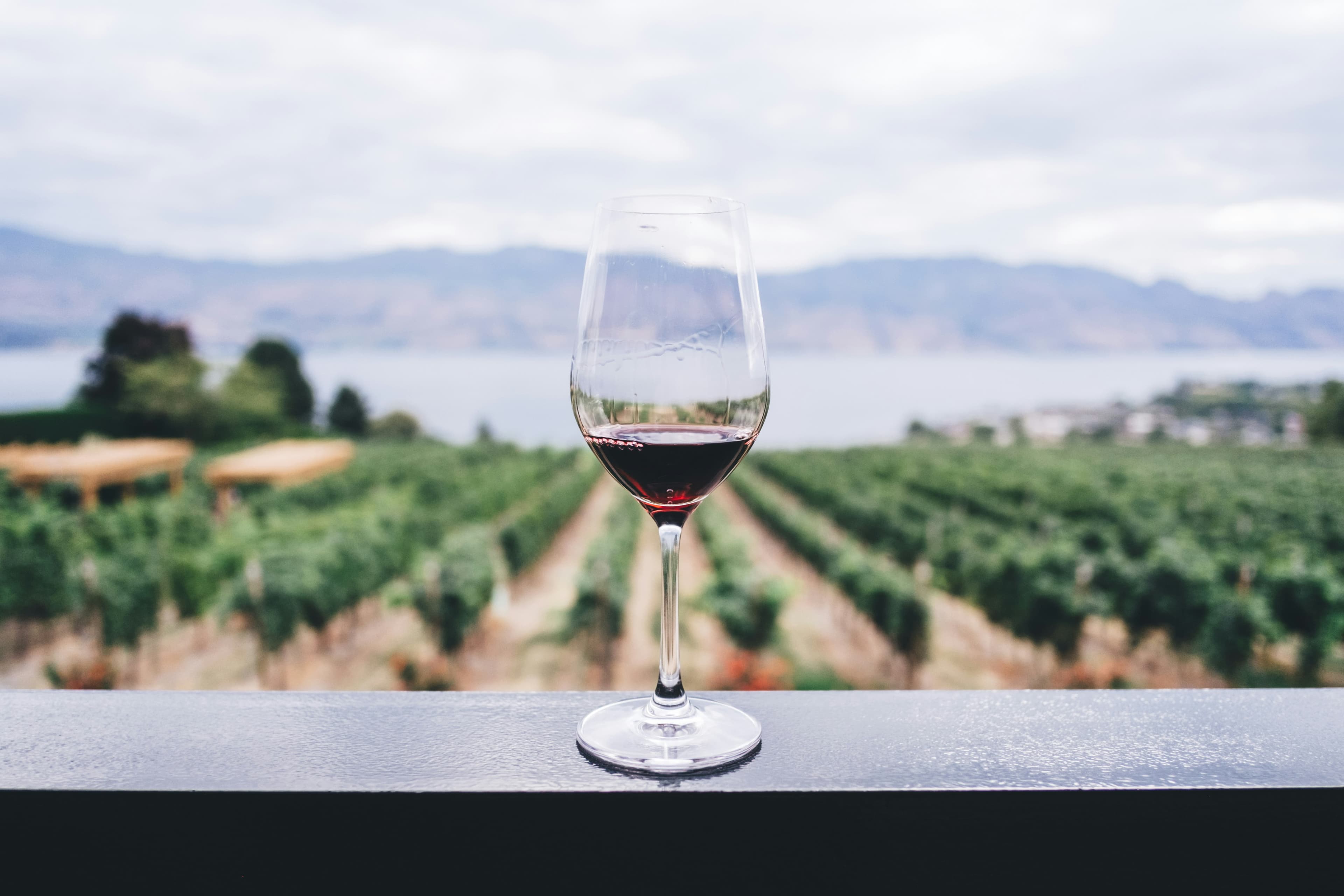 Imparare a degustare: i passaggi fondamentali per apprezzare un calice di vino senza essere sommelier