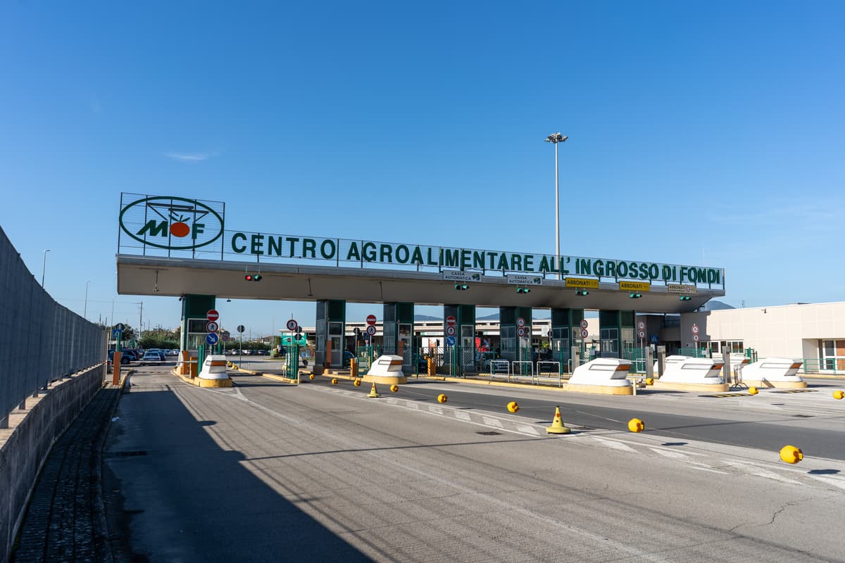 Il MOF torna a Fruit Attraction: fare sistema per crescere sui mercati internazionali
