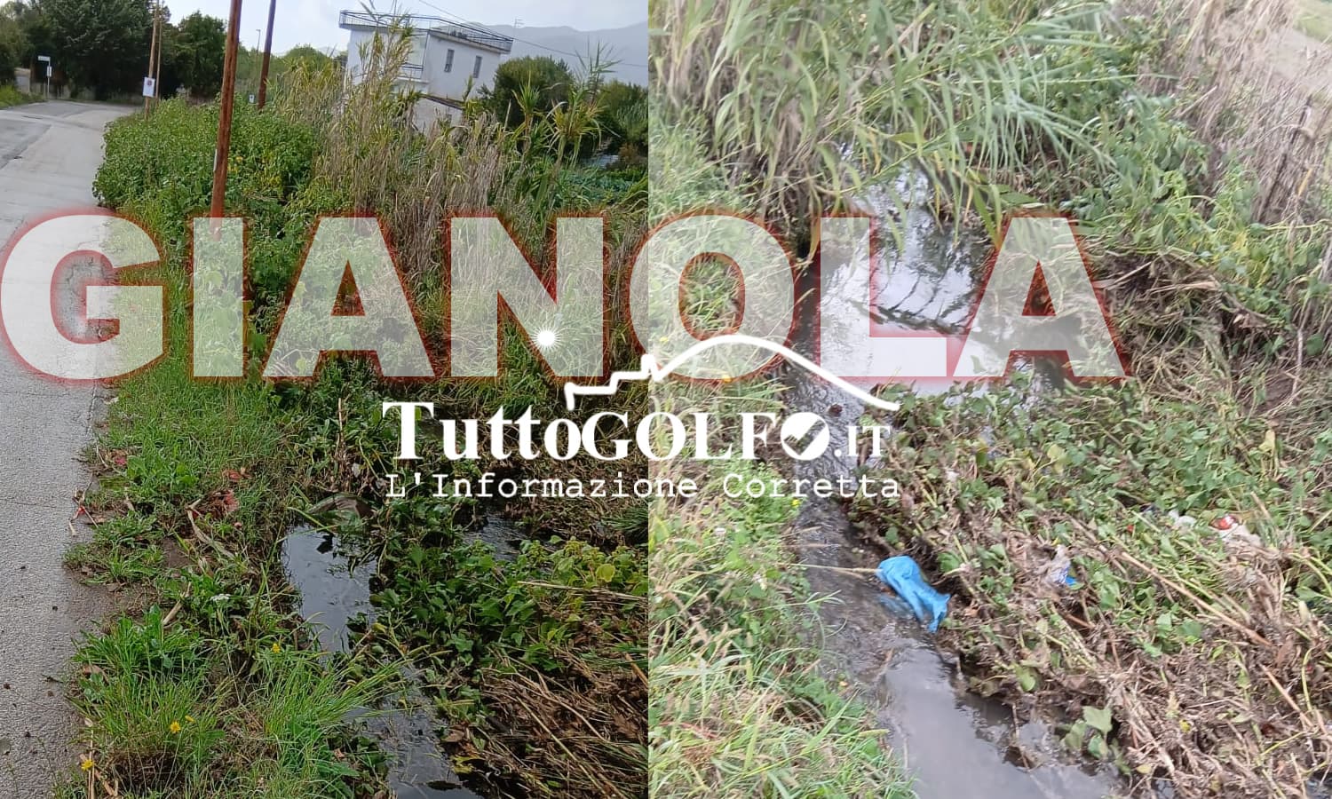 GIANOLA PIOGGIA