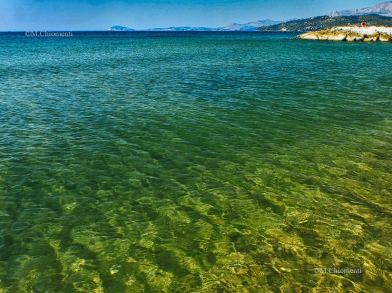LE ACQUE MARINE SONO TORNATE SPLENDIDAMENTE CHIARE
