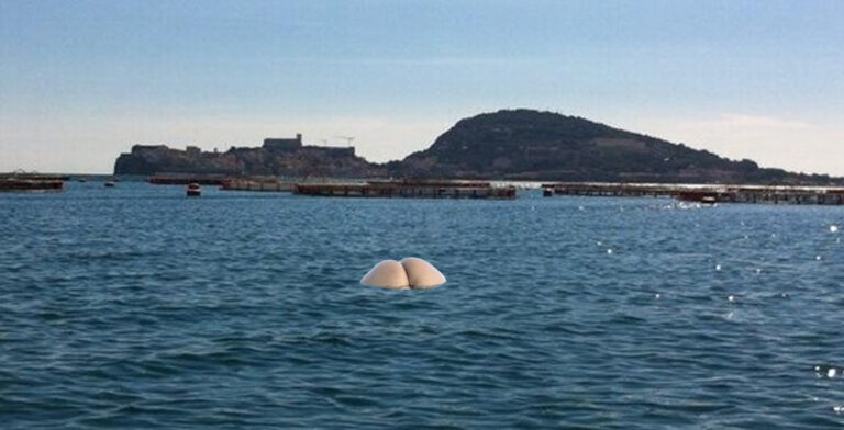 Golfo di Gaeta: Avvistata la rarissima medusa rosa