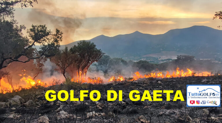 Incendi: Distruggere il territorio per i propri interessi