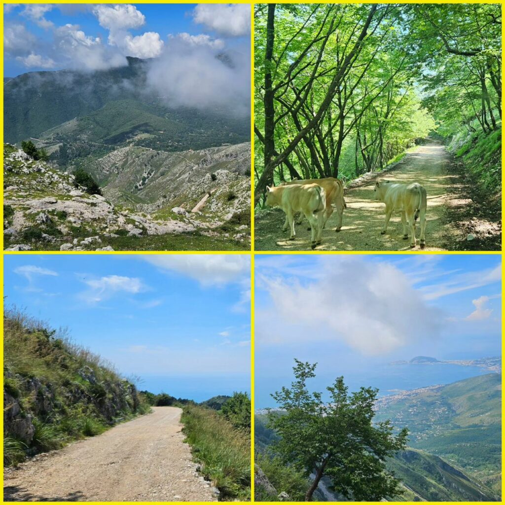 Rifugio Pornito- Cima del Redentore in zona Monte Altino