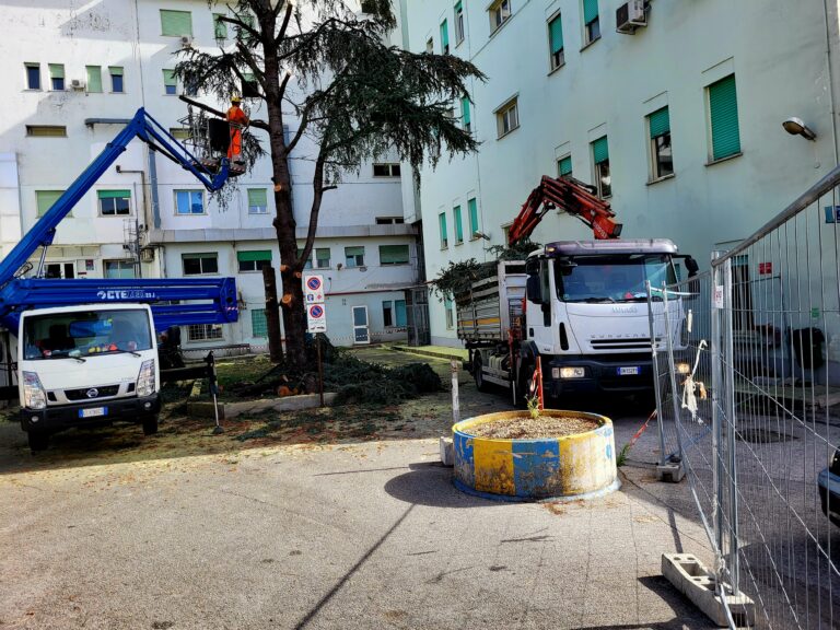 Formia: Il Dono Svizzero ha 61 anni, ma è ancora presto per la pensione?