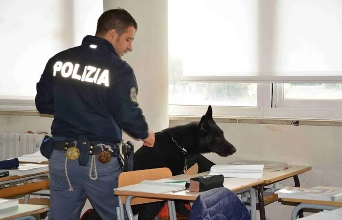 cane droga scuola