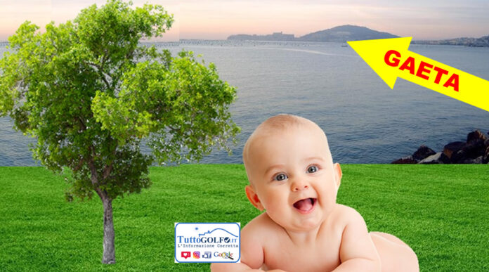 GAETA VERDE MEDITERRANEO ALBERO