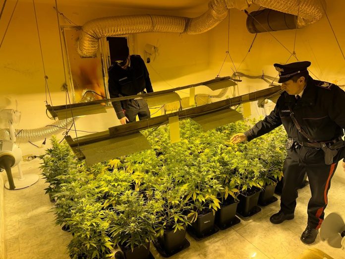 carabinieri sostanza stupefacente