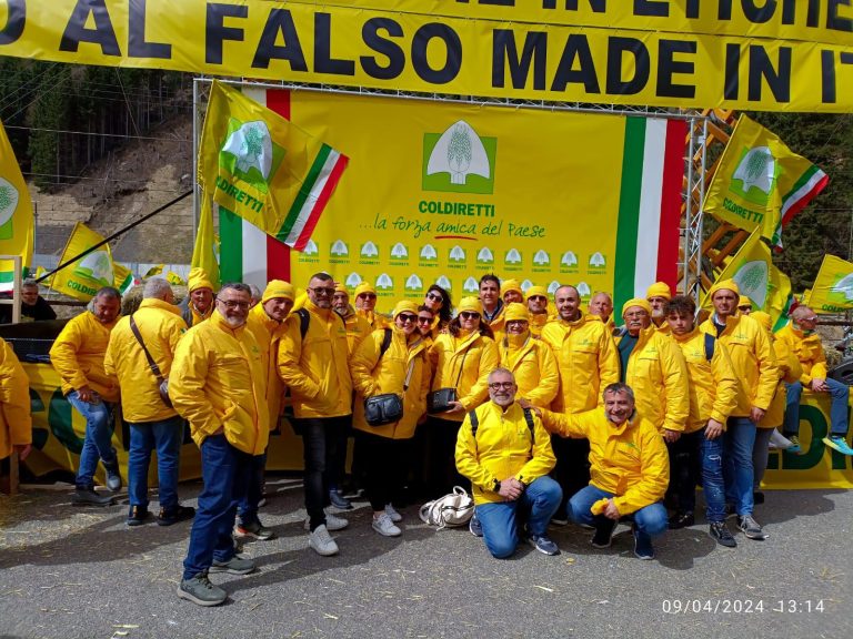 #nofakeinitaly – Ora proposta in Europa per trasparenza e Made in Italy