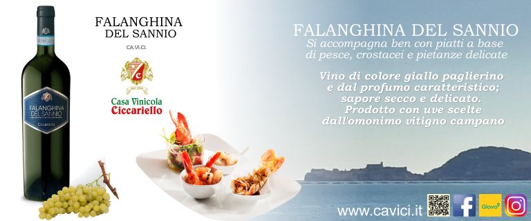 Falanghina del Sannio DOP CAVICI, si gusta fresco, accompagnato da piatti a base di pesce o crostacei