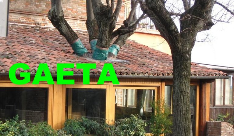 Gaeta: Dehors al posto degli alberi? Ecco la proposta di due associazioni