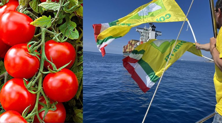 In arrivo a Salerno una nave con 40 container pieni di pomodoro cinese. La protesta degli agricoltori di Coldiretti