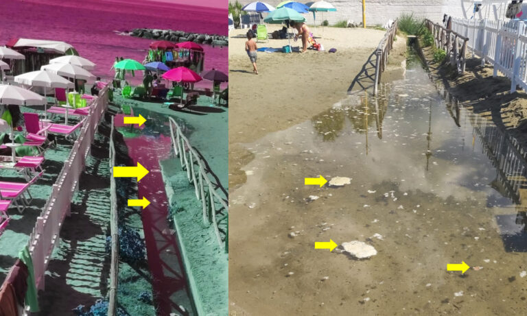 Un bagno tra acqua dolce e acqua salata, il tutto condito da schiuma galleggiante