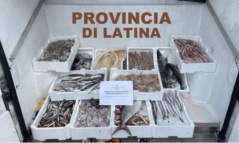 SEQUESTRATI 128 KG DI PESCE IN PROVINCIA DI LATINA