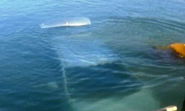 Disgrazia a Formia –  Pensionato di origini campane finisce in mare con l’auto. E’ deceduto