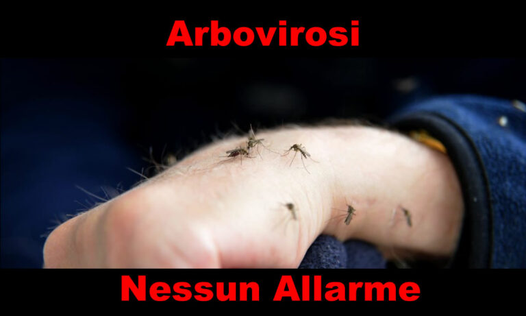 Arbovirosi: un ricovero al Goretti, nessun allarme