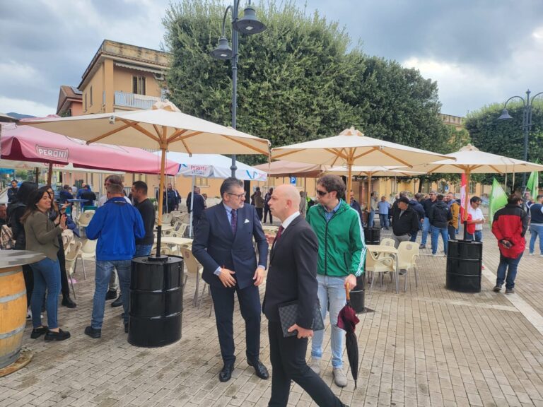 Situazione critica allo stabilimento Stellantis: Il Presidente del Consiglio della Provincia di Frosinone, Quadrini,  partecipa alla manifestazione