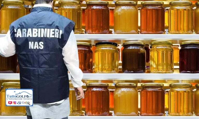 NAS miele – Gravi irregolarità presso un’azienda apistica della zona